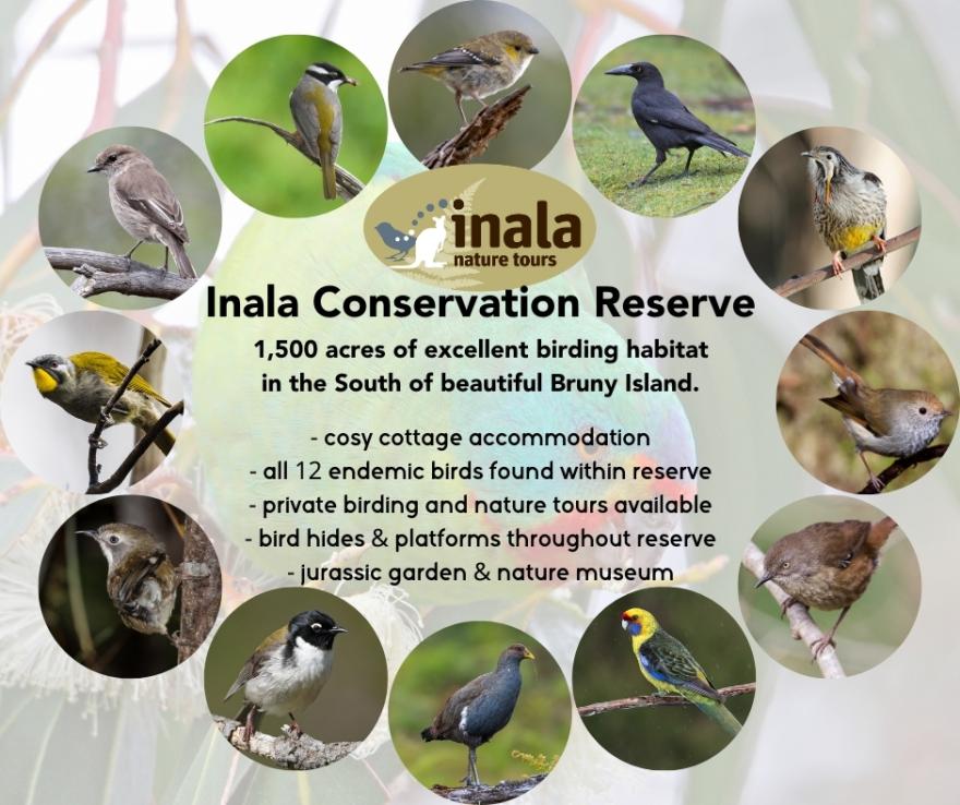 Inala's 12 endemic bird species