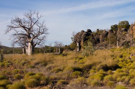 Kimberley scenery